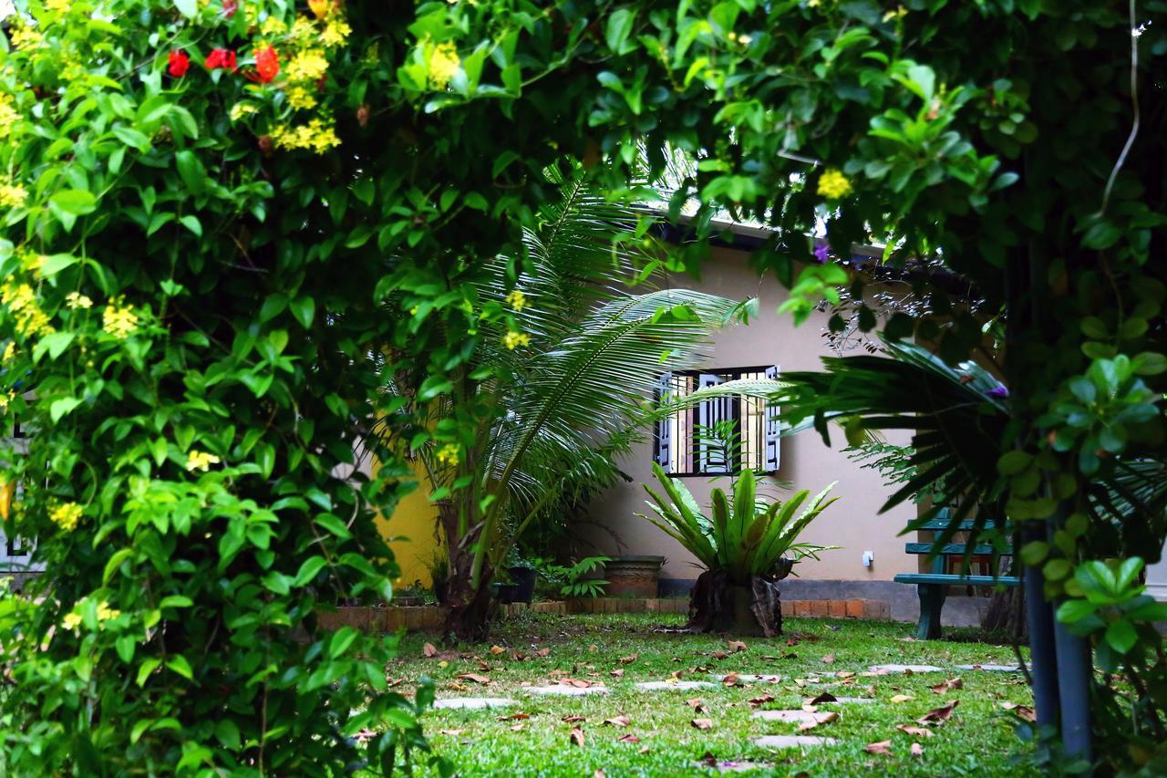 Coconut Villa Midigama East Exteriér fotografie