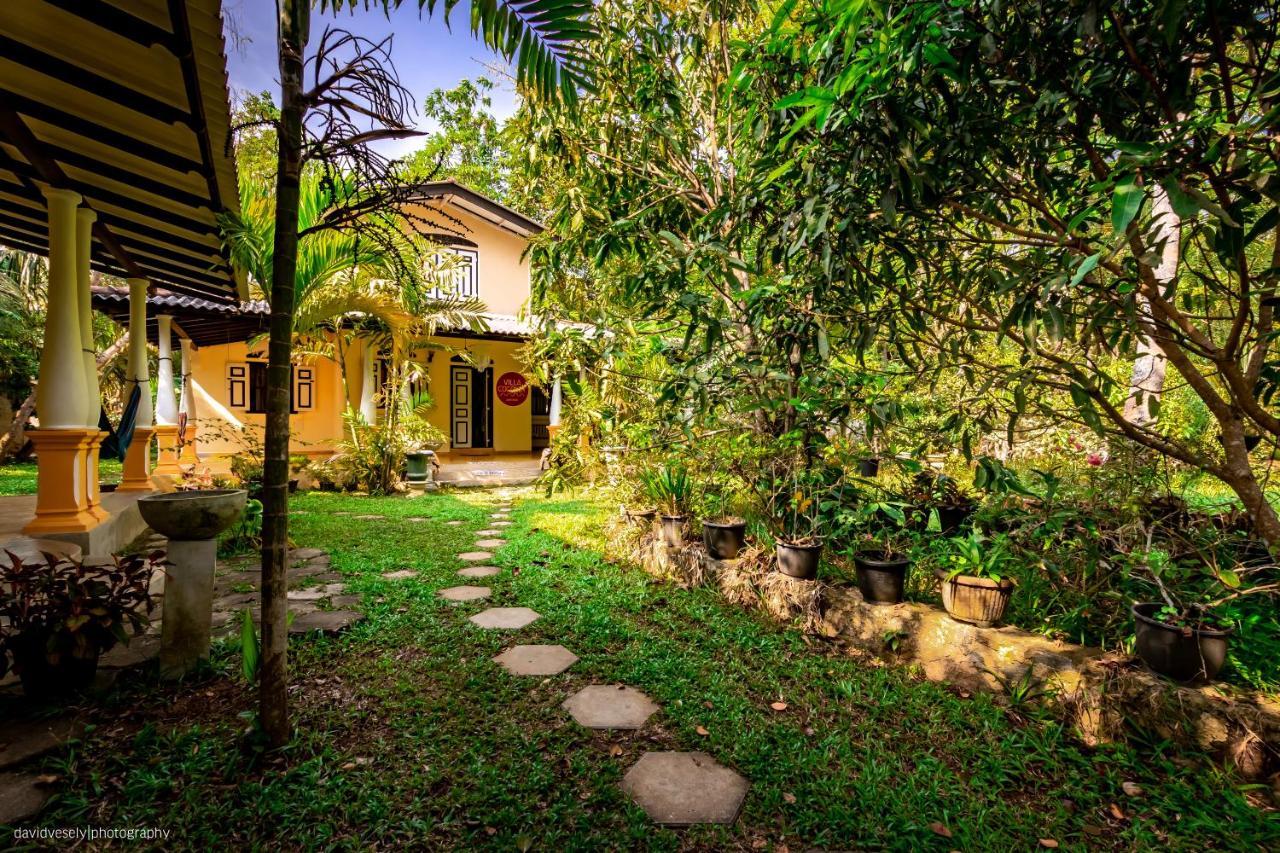 Coconut Villa Midigama East Exteriér fotografie